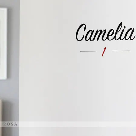 Rosa Alojamento de Acomodação e Pequeno-almoço 3*